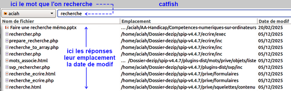 Rechercher avec catfish